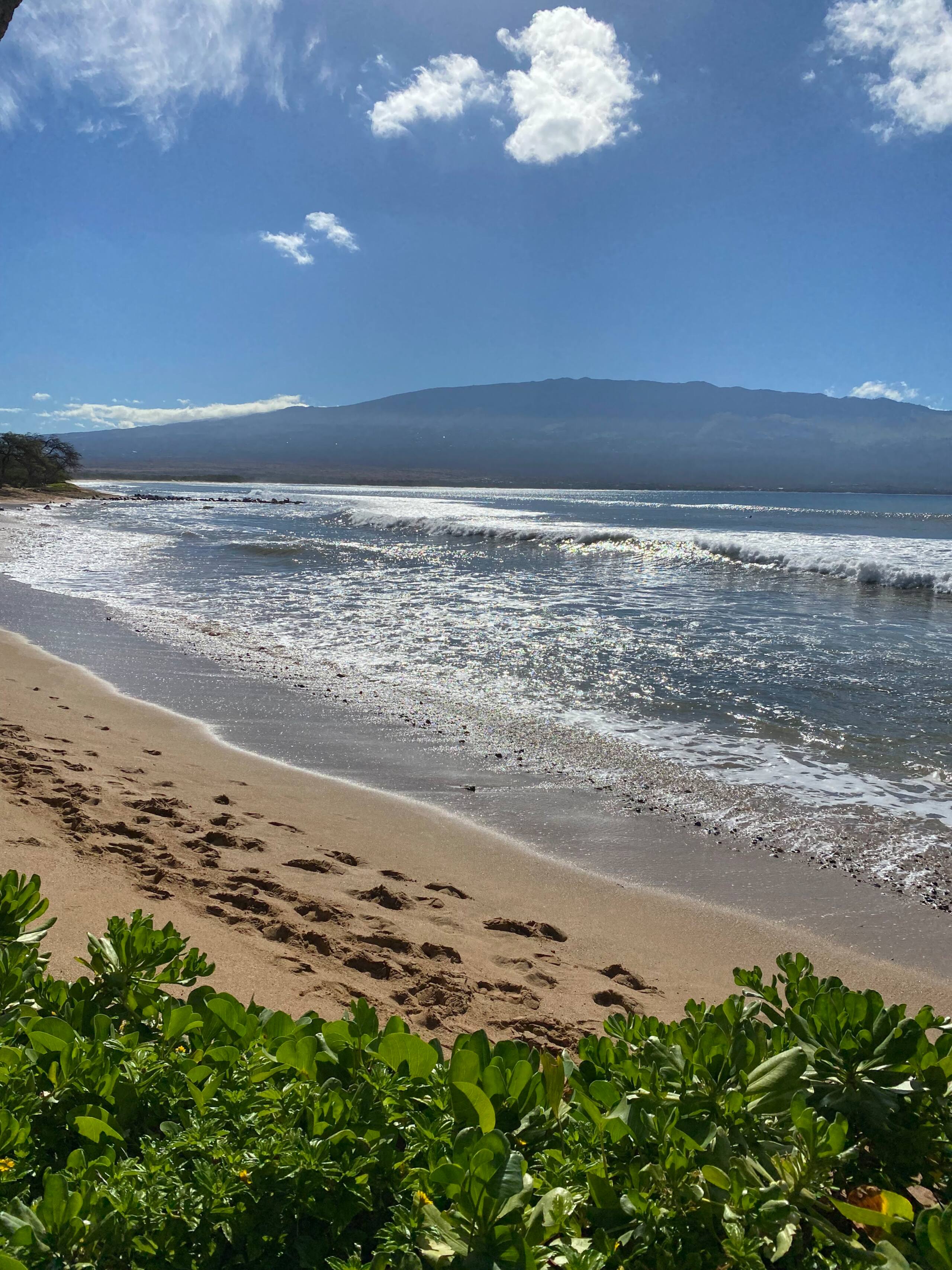 Condo in Wailuku · ★4.73 · 1 bedroom · 1 bed · 1 bath - Image 21