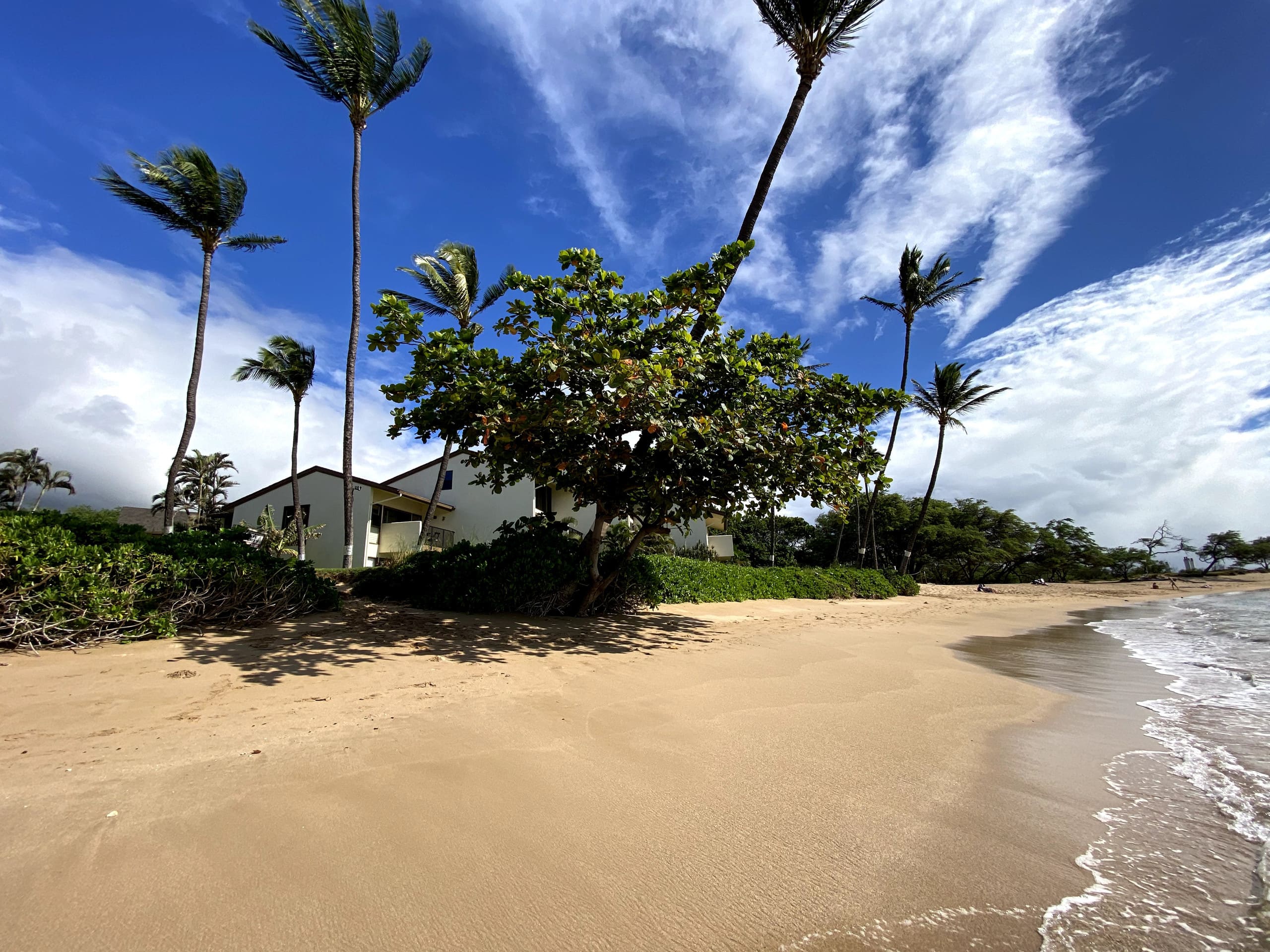 Condo in Wailuku · ★4.73 · 1 bedroom · 1 bed · 1 bath - Image 23