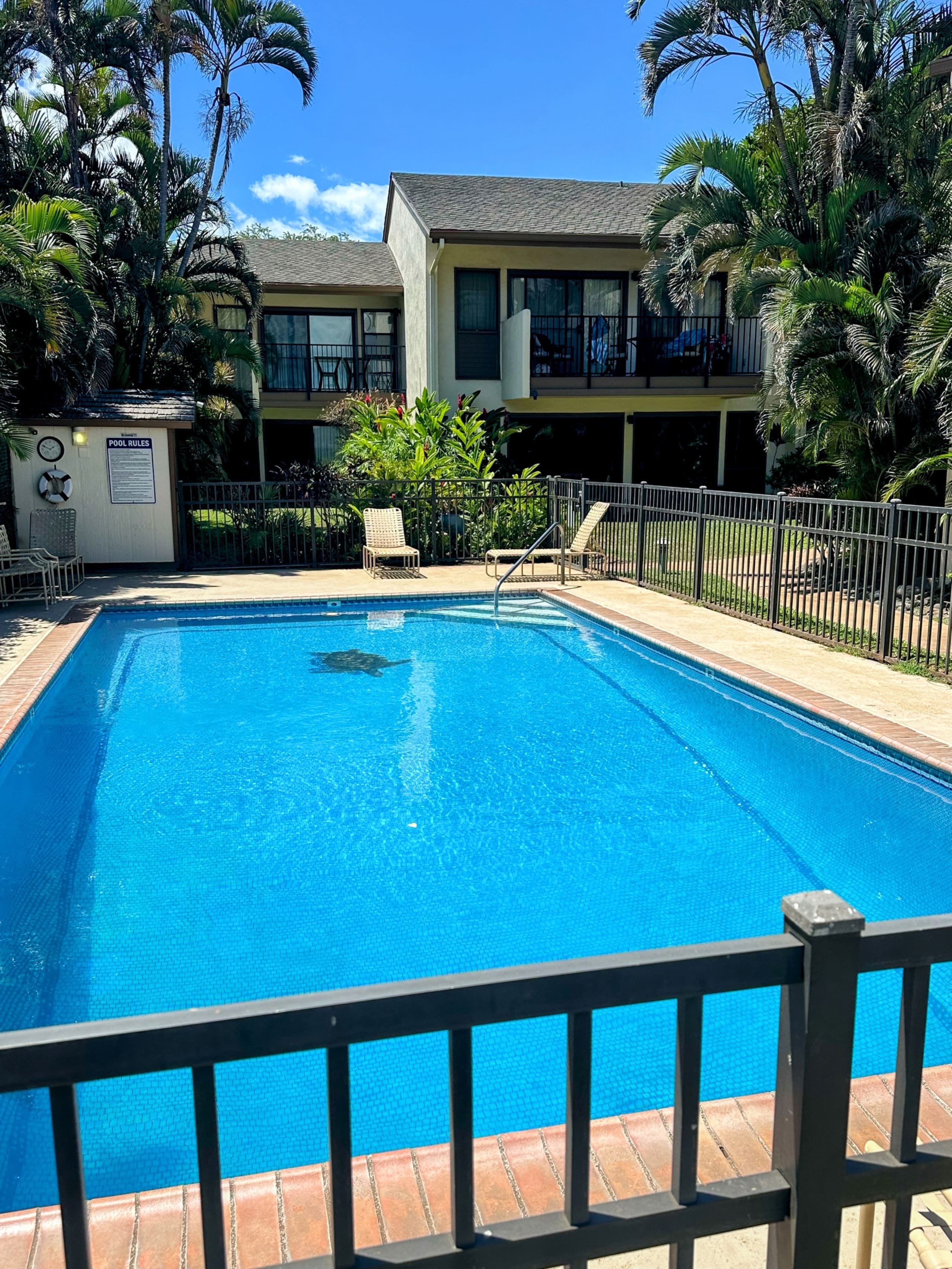 Condo in Wailuku · ★4.73 · 1 bedroom · 1 bed · 1 bath - Image 33