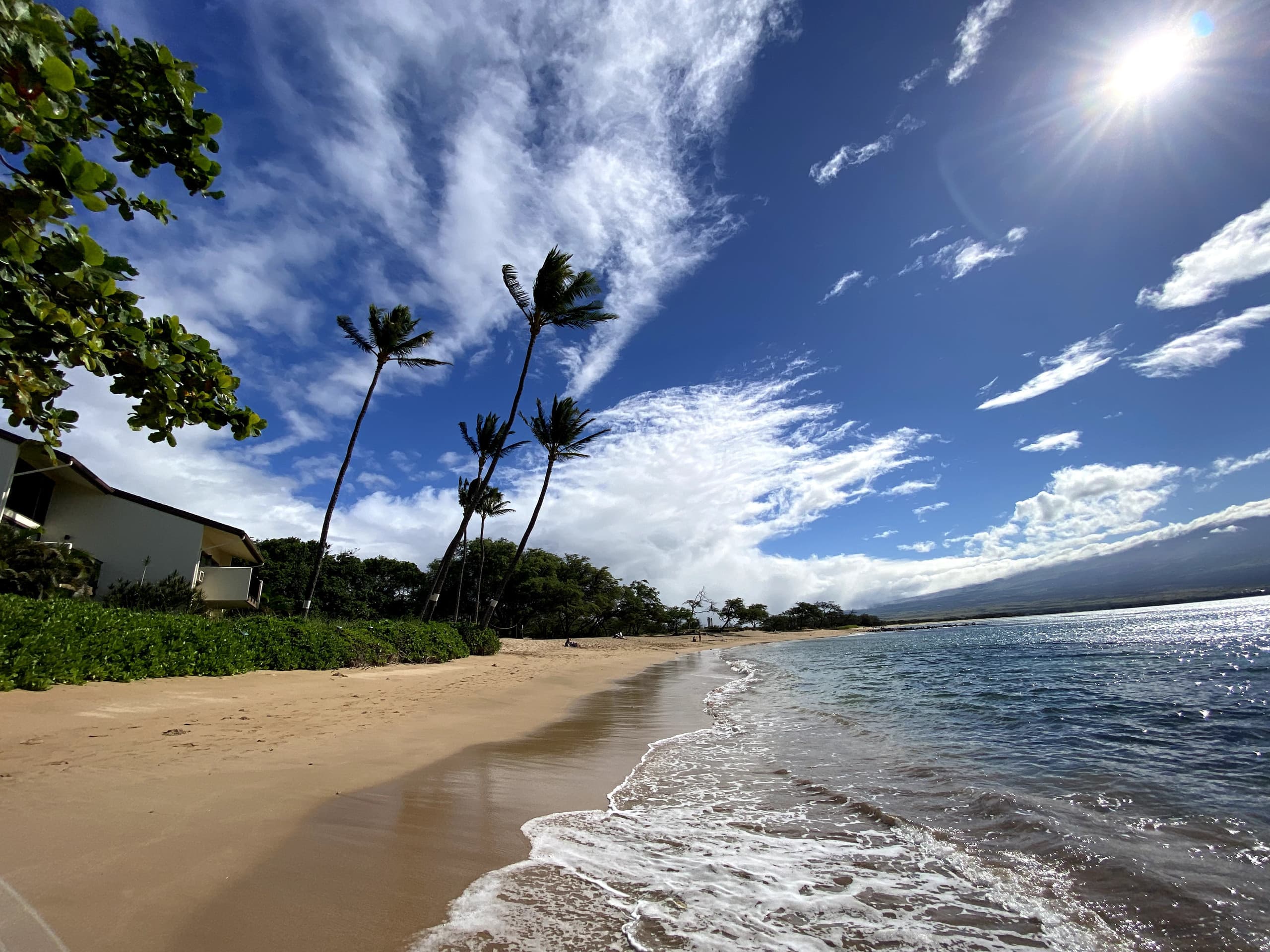 Condo in Wailuku · ★4.73 · 1 bedroom · 1 bed · 1 bath - Image 22