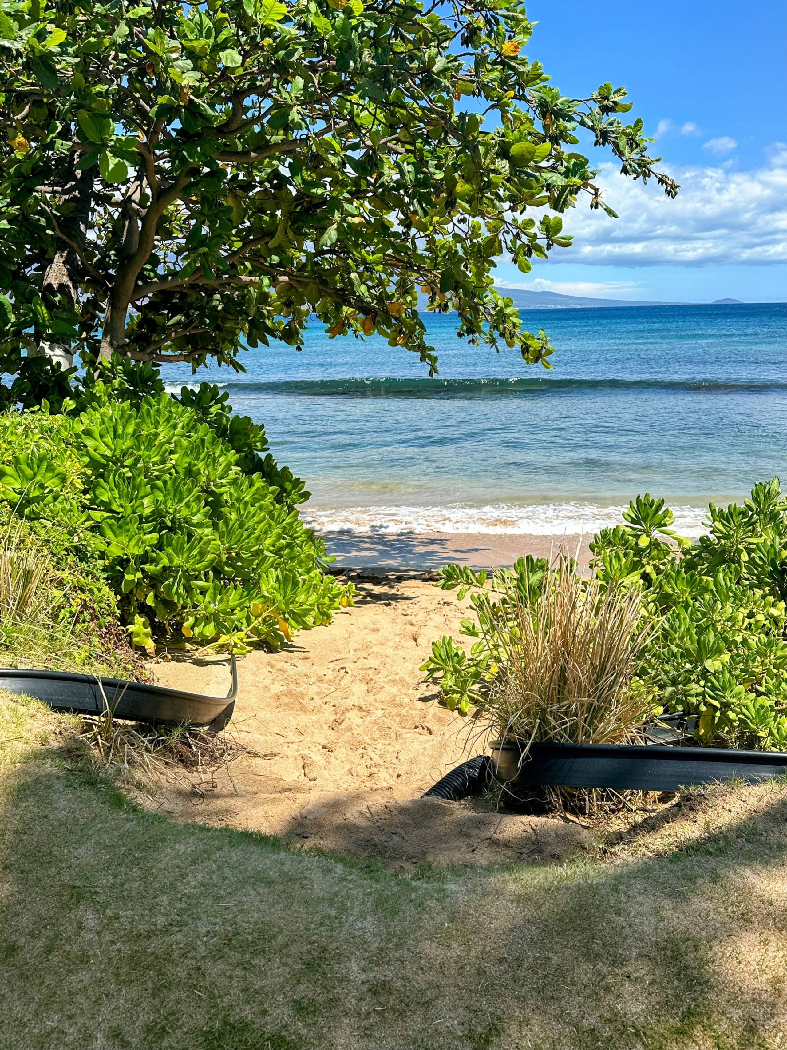 Condo in Wailuku · ★4.73 · 1 bedroom · 1 bed · 1 bath - Image 26