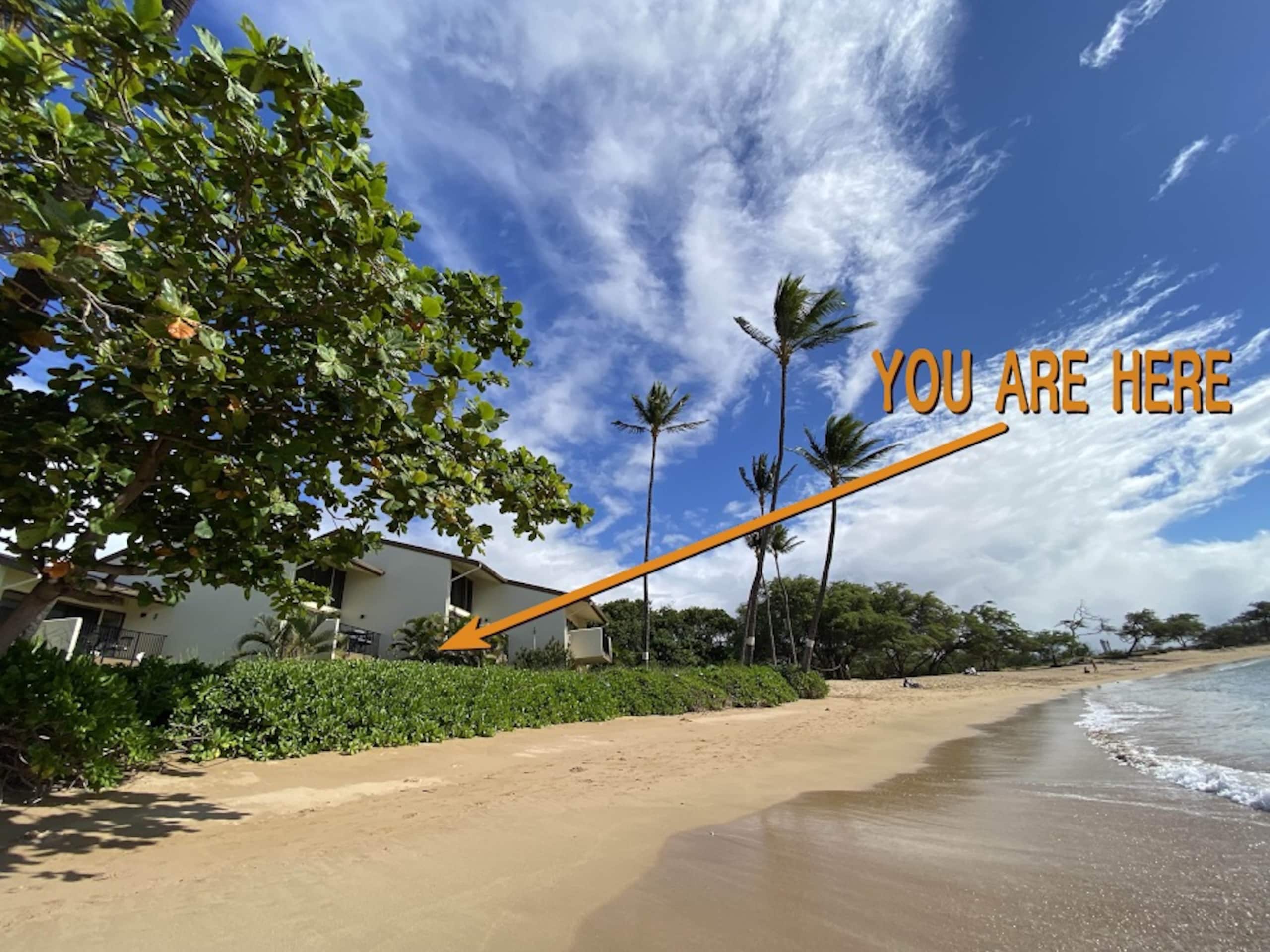 Condo in Wailuku · ★4.73 · 1 bedroom · 1 bed · 1 bath - Image 1