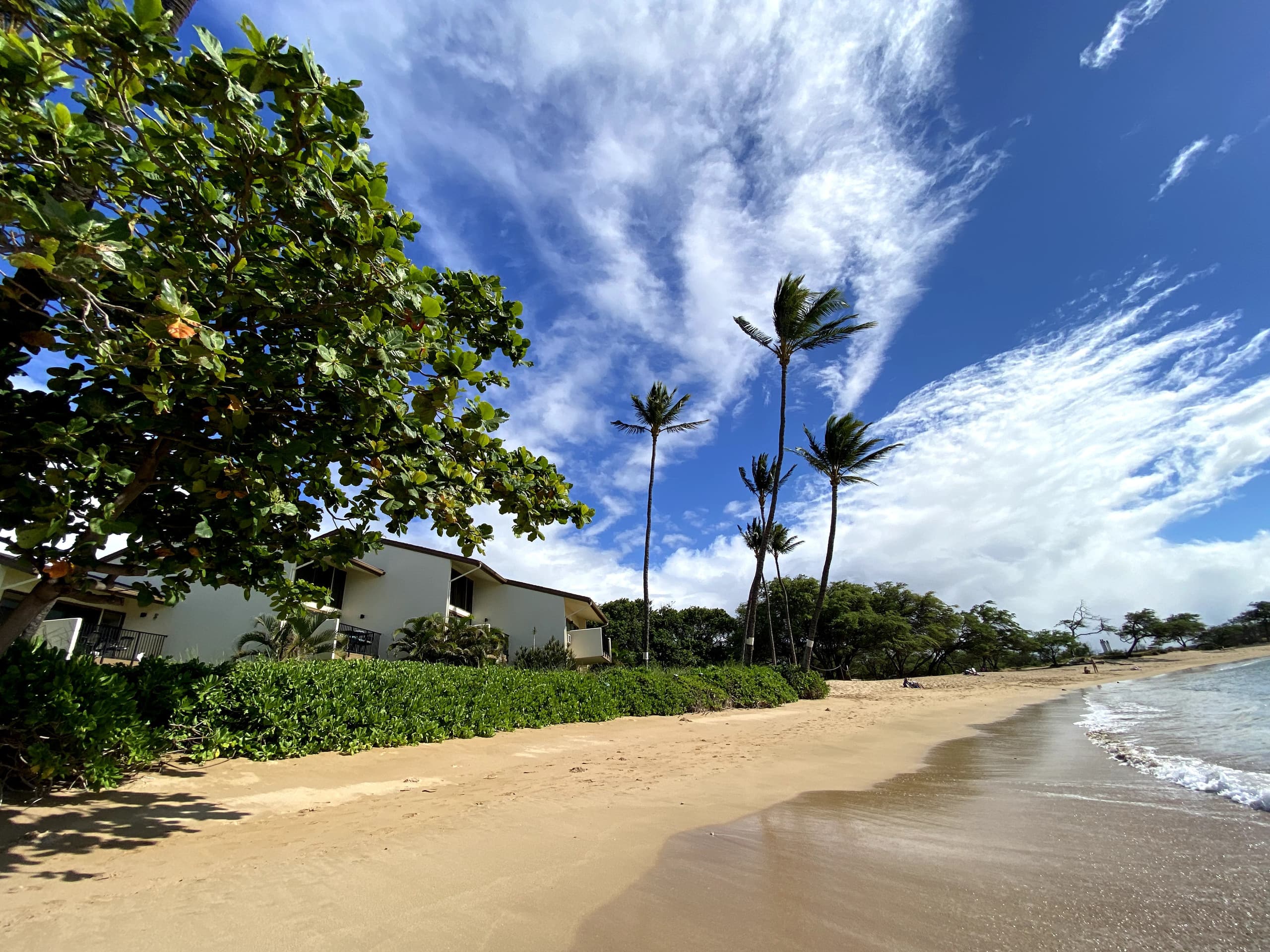 Condo in Wailuku · ★4.73 · 1 bedroom · 1 bed · 1 bath - Image 24