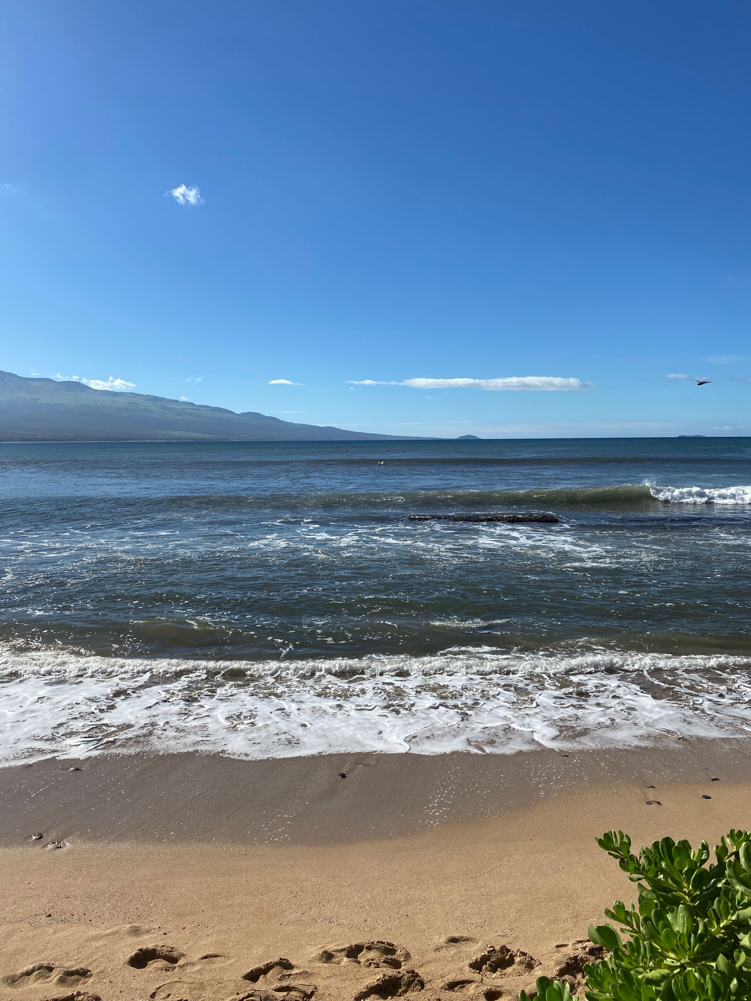 Condo in Wailuku · ★4.73 · 1 bedroom · 1 bed · 1 bath - Image 18
