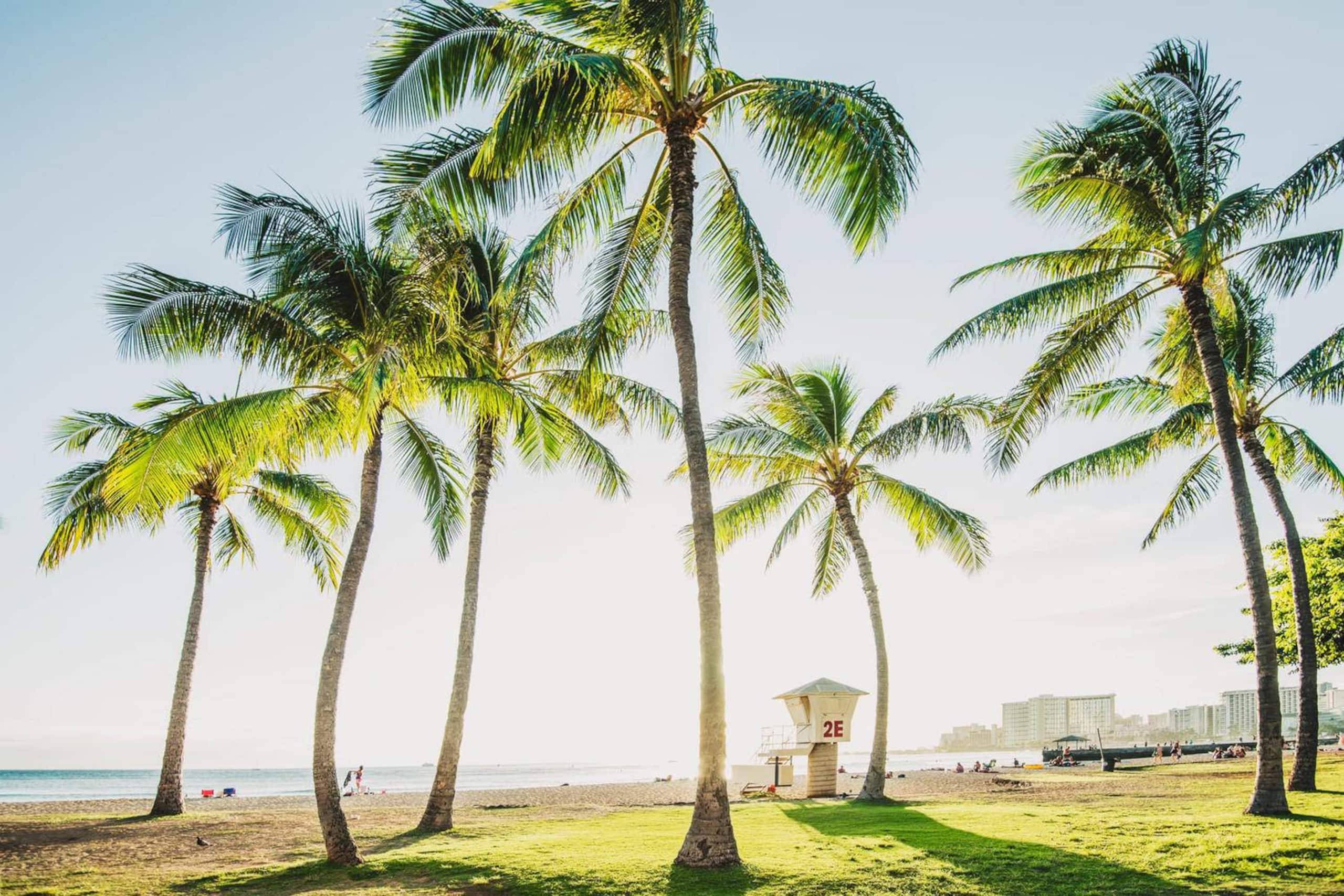 Hotel in Honolulu · ★4.75 · 1 bedroom · 1 bed · 1 private bath - Image 21