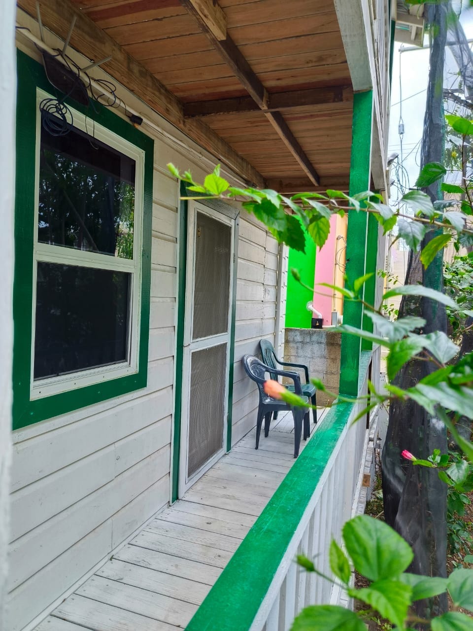 A wooden porch is displayed, bordered by green trim. Two chairs are positioned to invite relaxation. Natural foliage frames the view, adding a touch of greenery to the scene, while the surrounding colored walls enhance the vibrancy of the space.