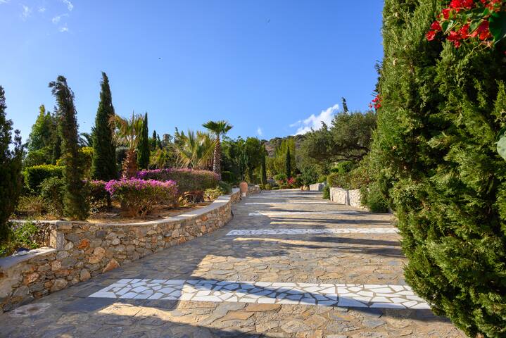 Villa Eureka gallery image 4