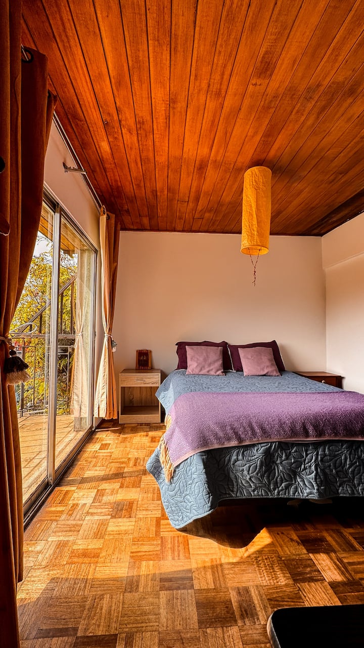 Брачен кревет (широк 150-179 см), брачен кревет (широк 180 Многу светло. Излезете на тераса со поглед на Серо Алегре и Баија де Валпараисо. 