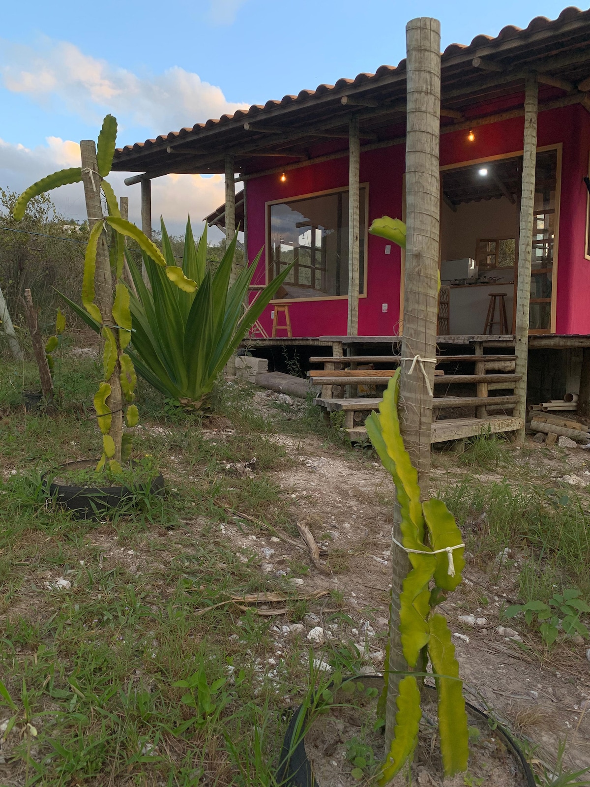 A vibrant pink exterior of the house is visible in the background, complemented by natural wood features. In the foreground, potted plants with long green leaves are seen, contributing to the setting's connection with nature. The surrounding area is partially covered with grass, and a stone path leads to the entrance.