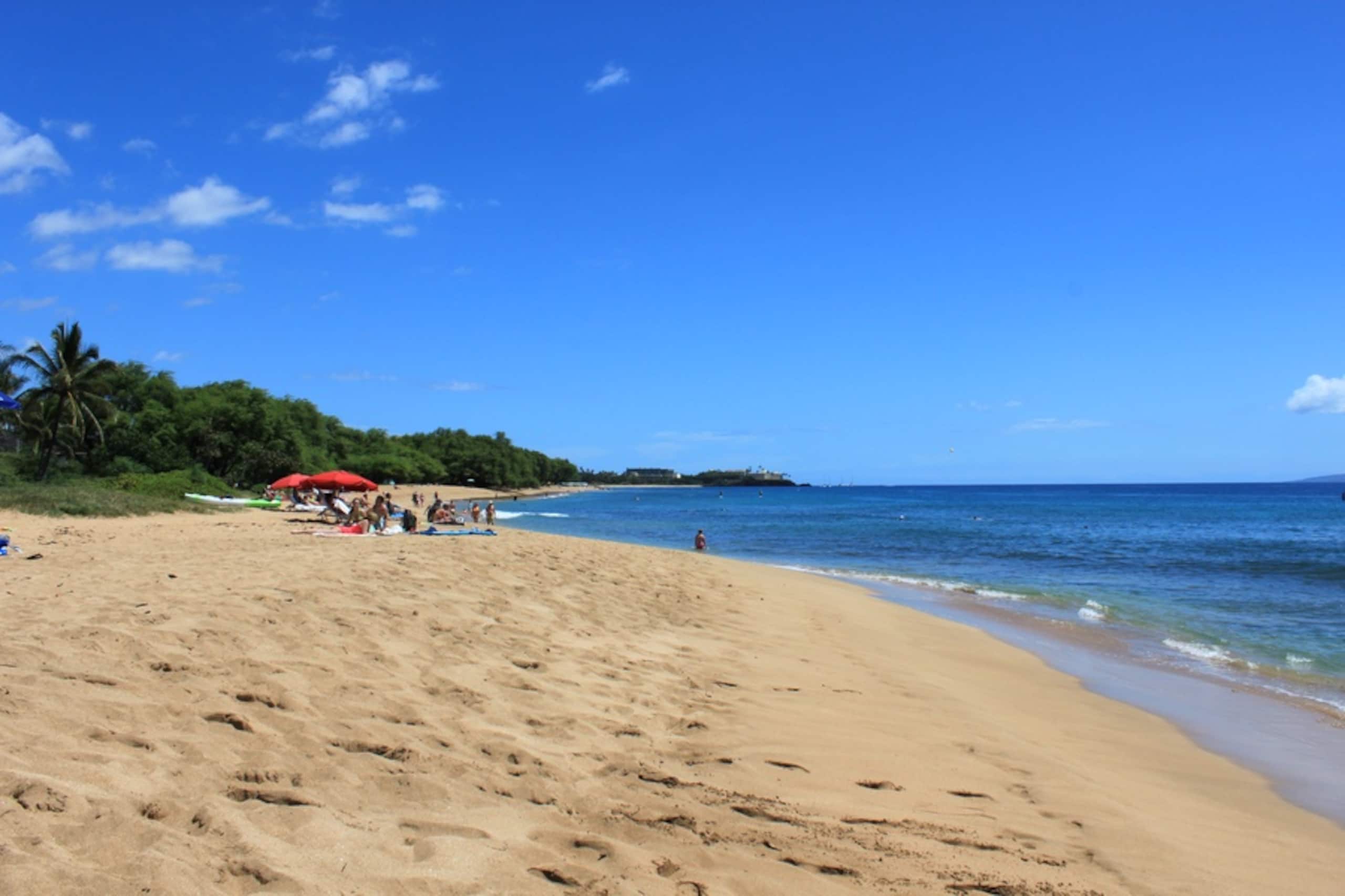 Honua Kai Konea 230: Luxe w/ Holiday Availability! - Photo 29