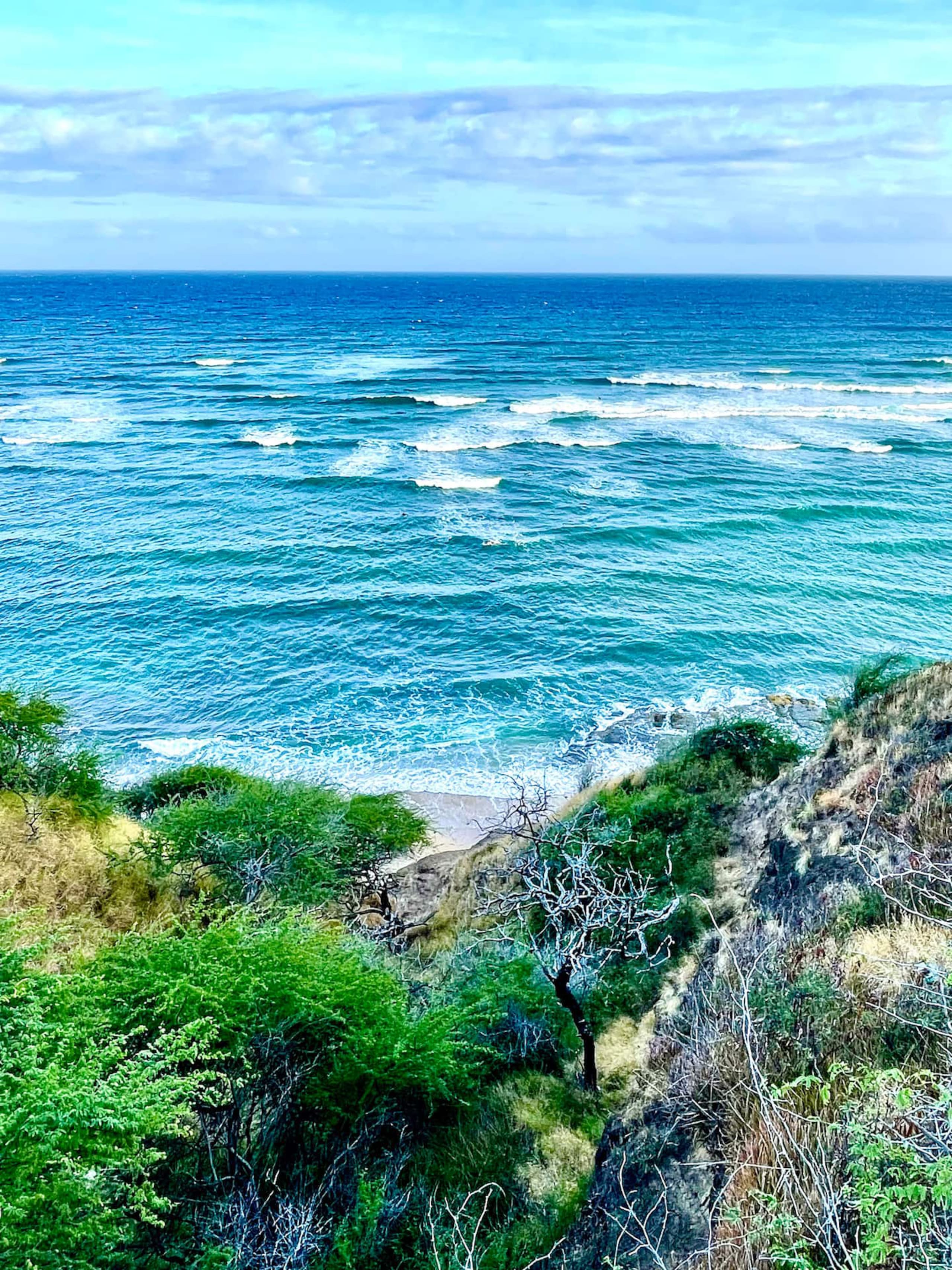 Condo in Honolulu · ★4.94 · Studio · 2 beds · 1 bath - Image 31