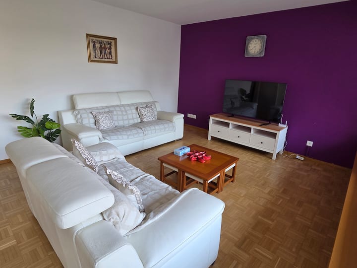 Modern 3 Bedroom Apartment In Geneva - Geneva Cointrin Airport (GVA)