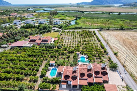 Exclusive 3 villa rental for large groups of 12-21