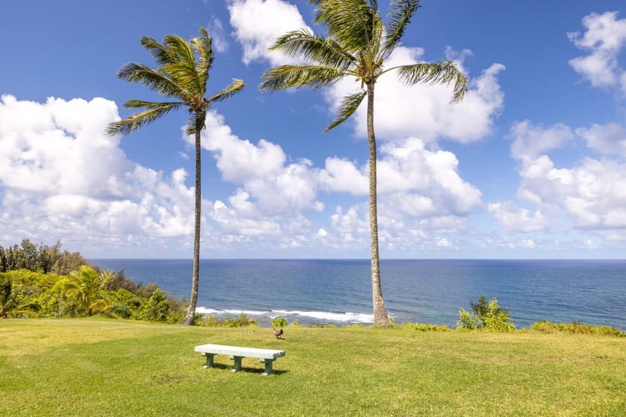 Playful Ocean-View Nest • Steps to Beach Trail - Image 28