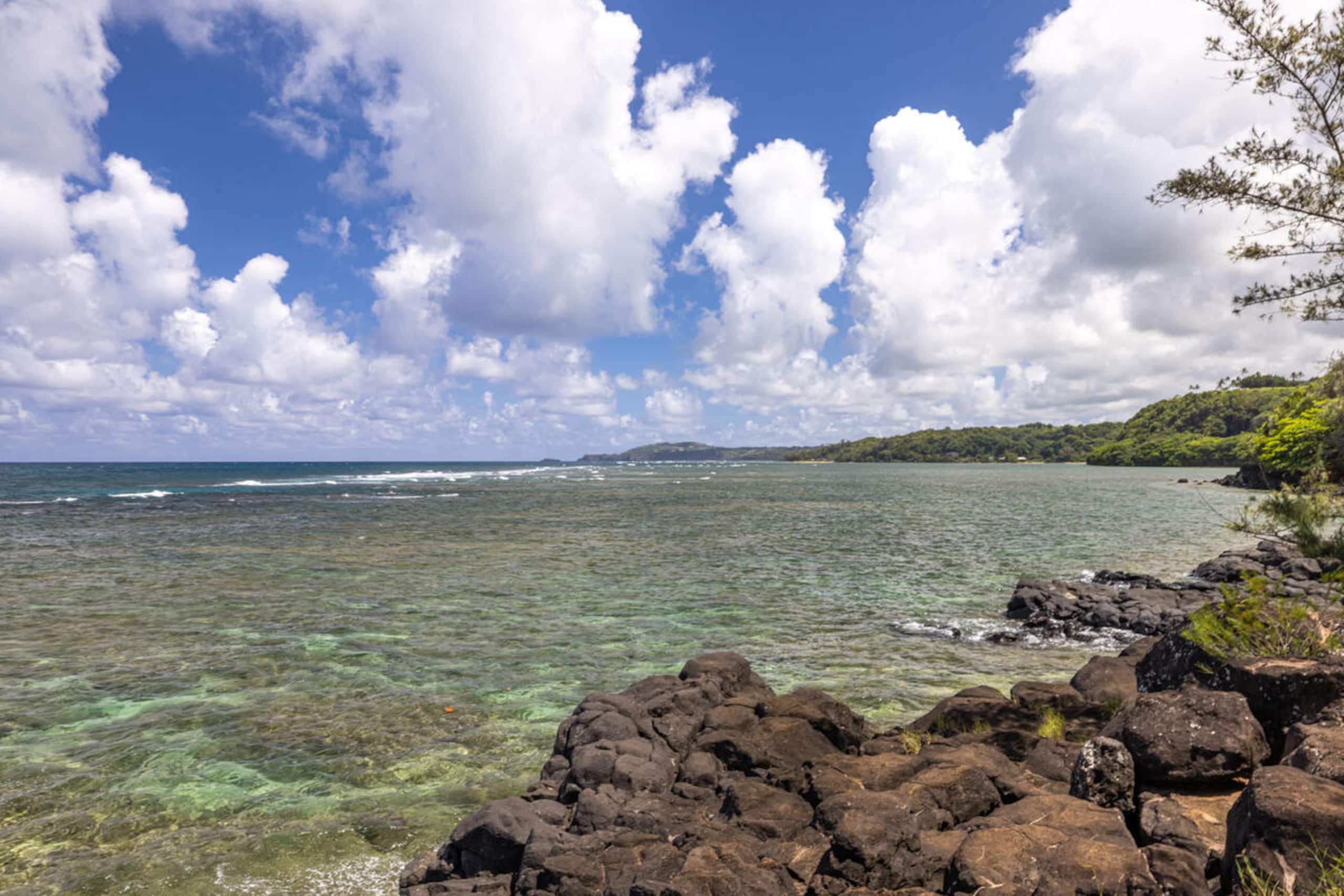 Playful Ocean-View Nest • Steps to Beach Trail - Image 33