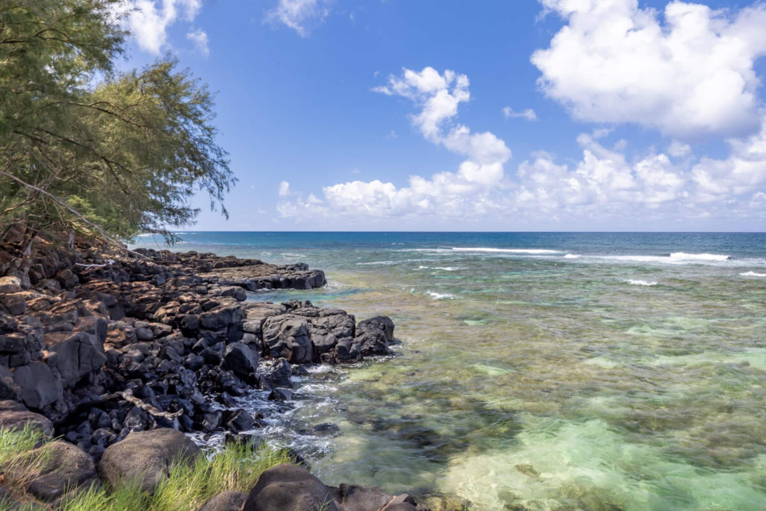 Playful Ocean-View Nest • Steps to Beach Trail - Image 35