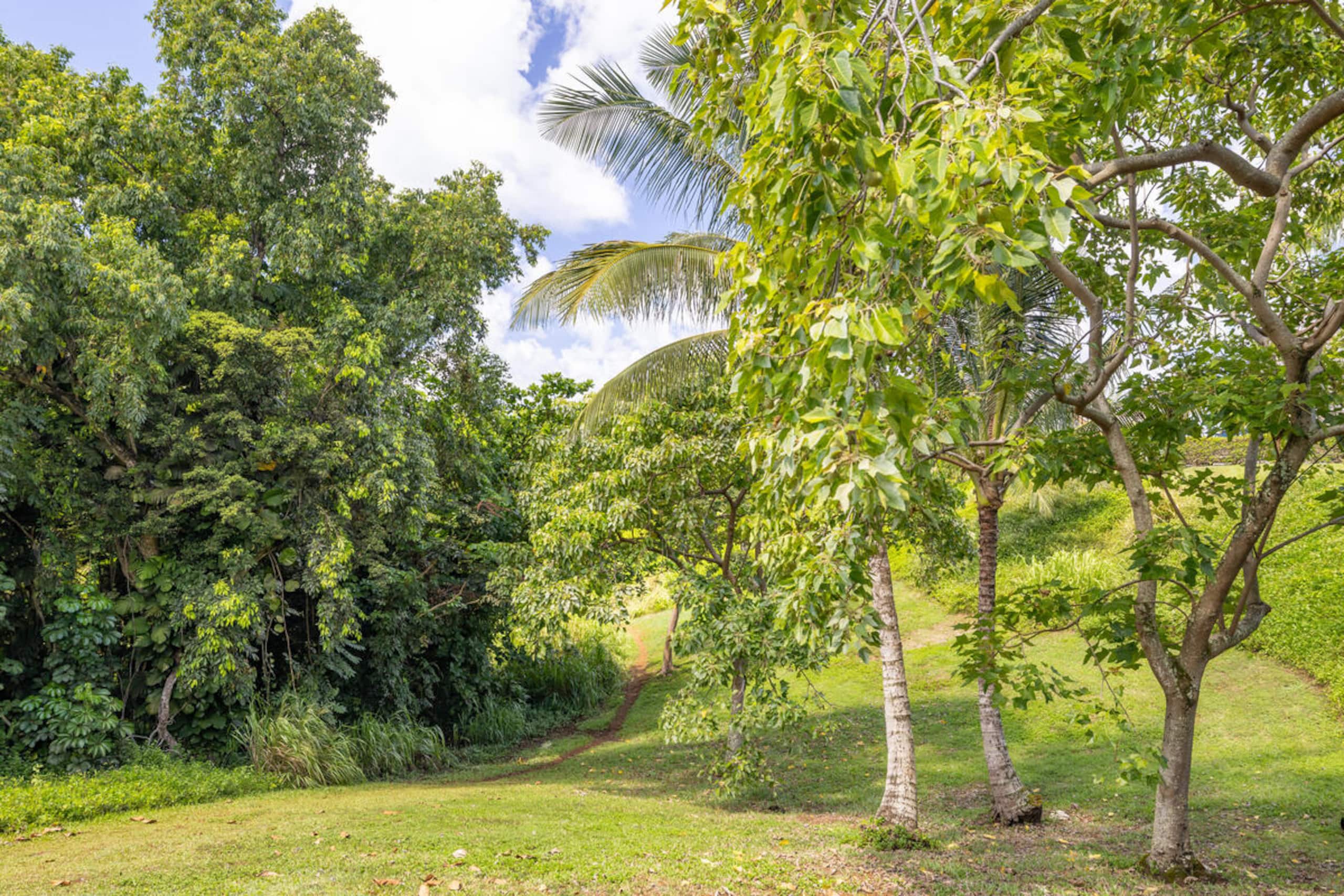 Playful Ocean-View Nest • Steps to Beach Trail - Image 37