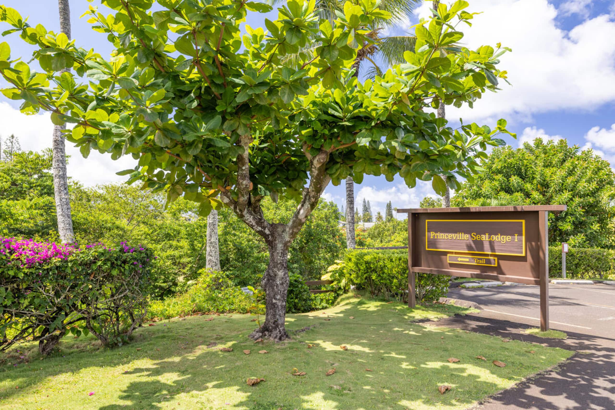 Playful Ocean-View Nest • Steps to Beach Trail - Image 27