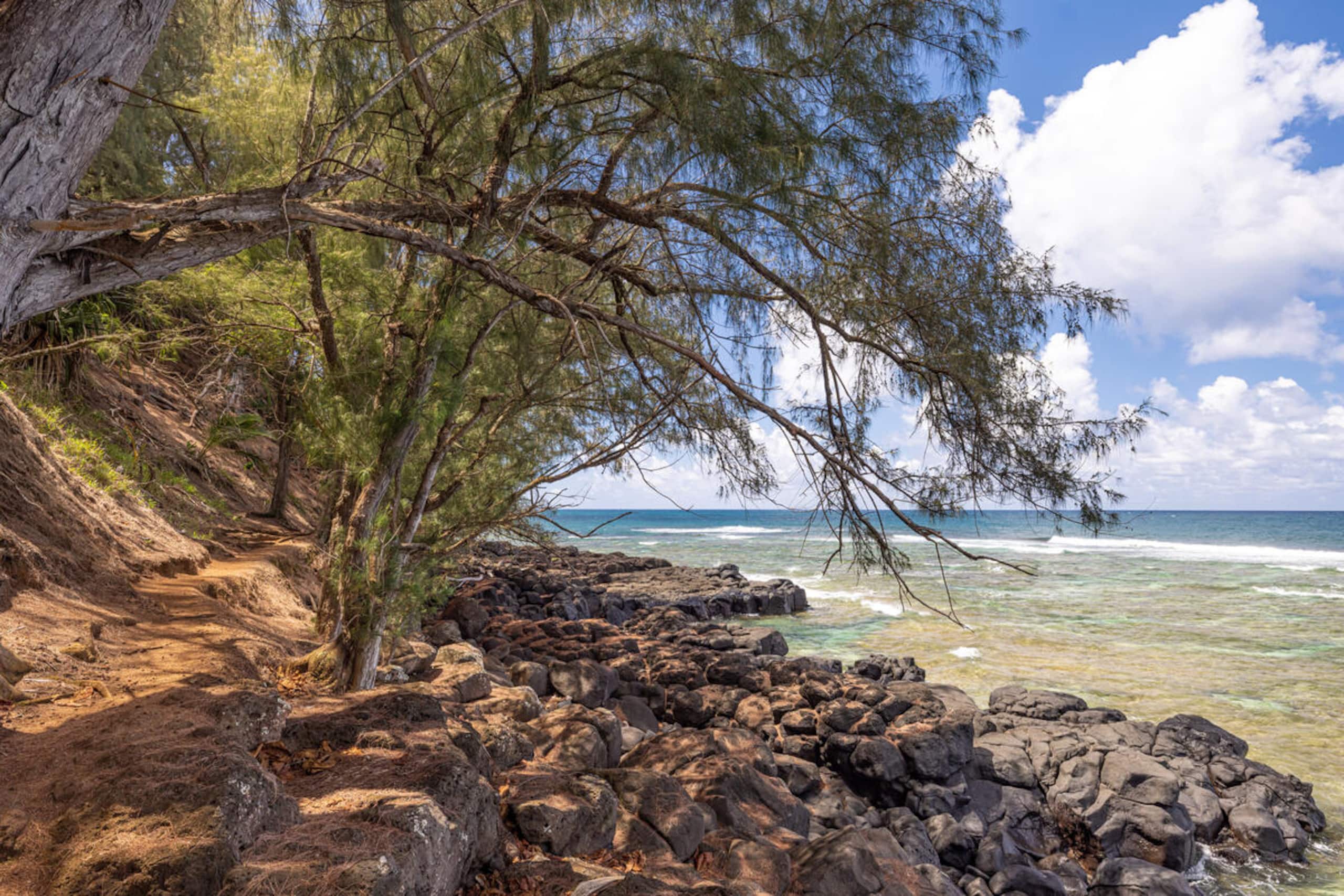 Playful Ocean-View Nest • Steps to Beach Trail - Image 34