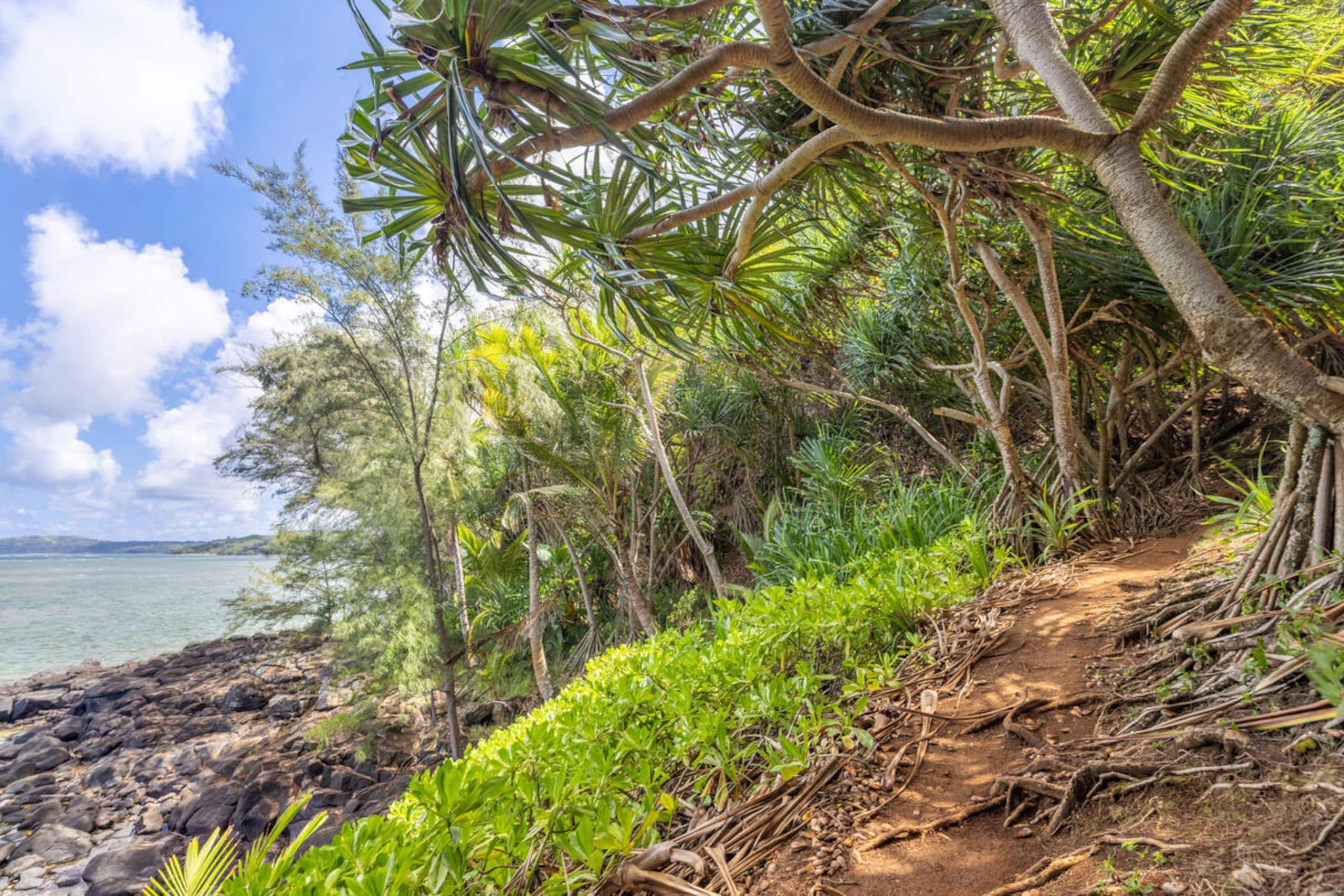 Playful Ocean-View Nest • Steps to Beach Trail - Image 32