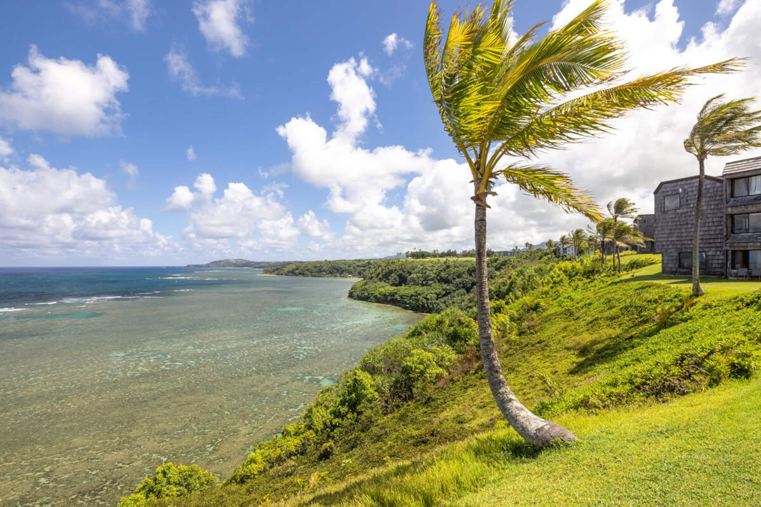 Playful Ocean-View Nest • Steps to Beach Trail - Image 29