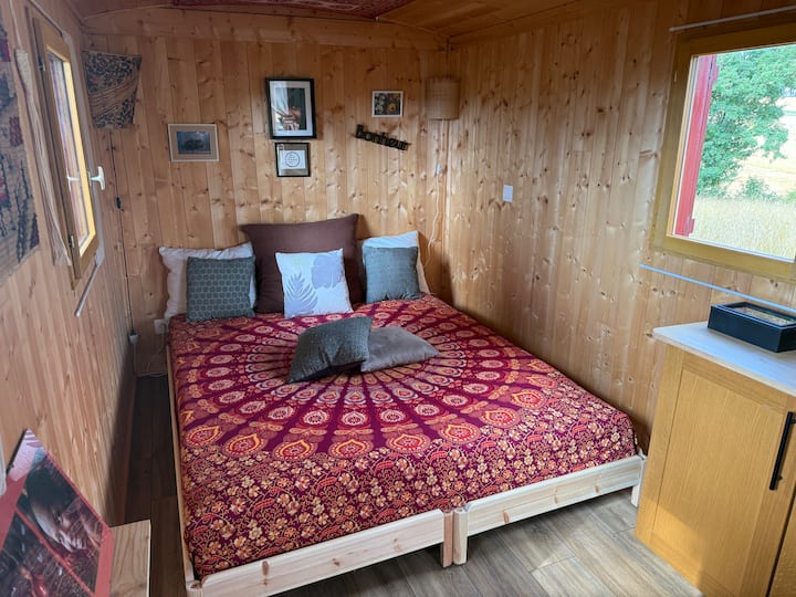 Letto 160 cm confortevole, 3 finestre e una porta si affacciano sul giardino. 