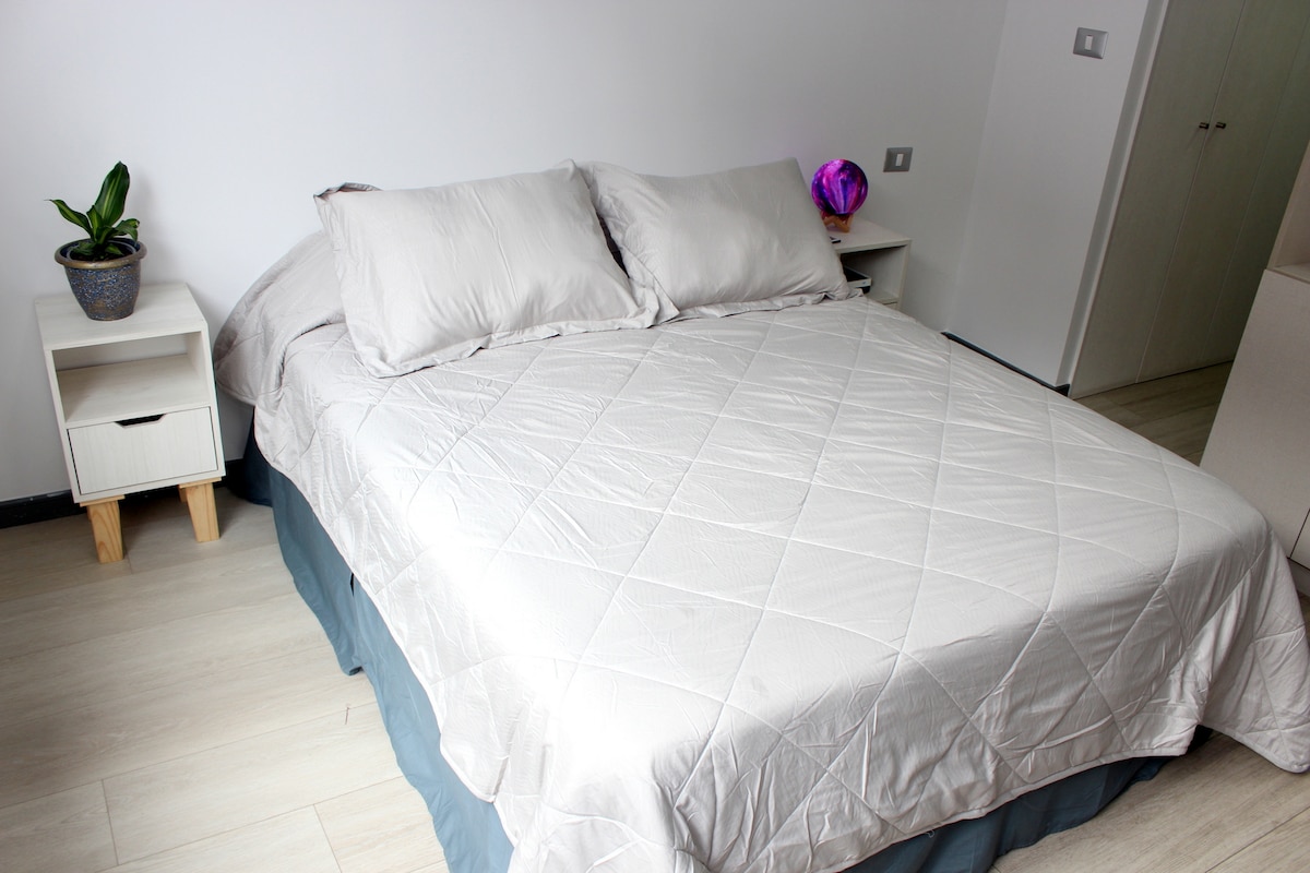 A spacious bed is dressed in light-hued bedding, with two plump pillows arranged neatly at the head. A small bedside table stands beside the bed, displaying a decorative pot with a green plant. The room features light-colored flooring and neutral walls.