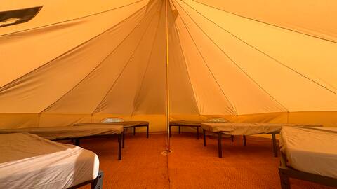 Successful Airbnb property: Glamping lodge right on the Achterwasser (standard) in Lütow