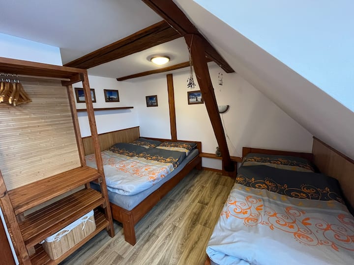 Habitación 1