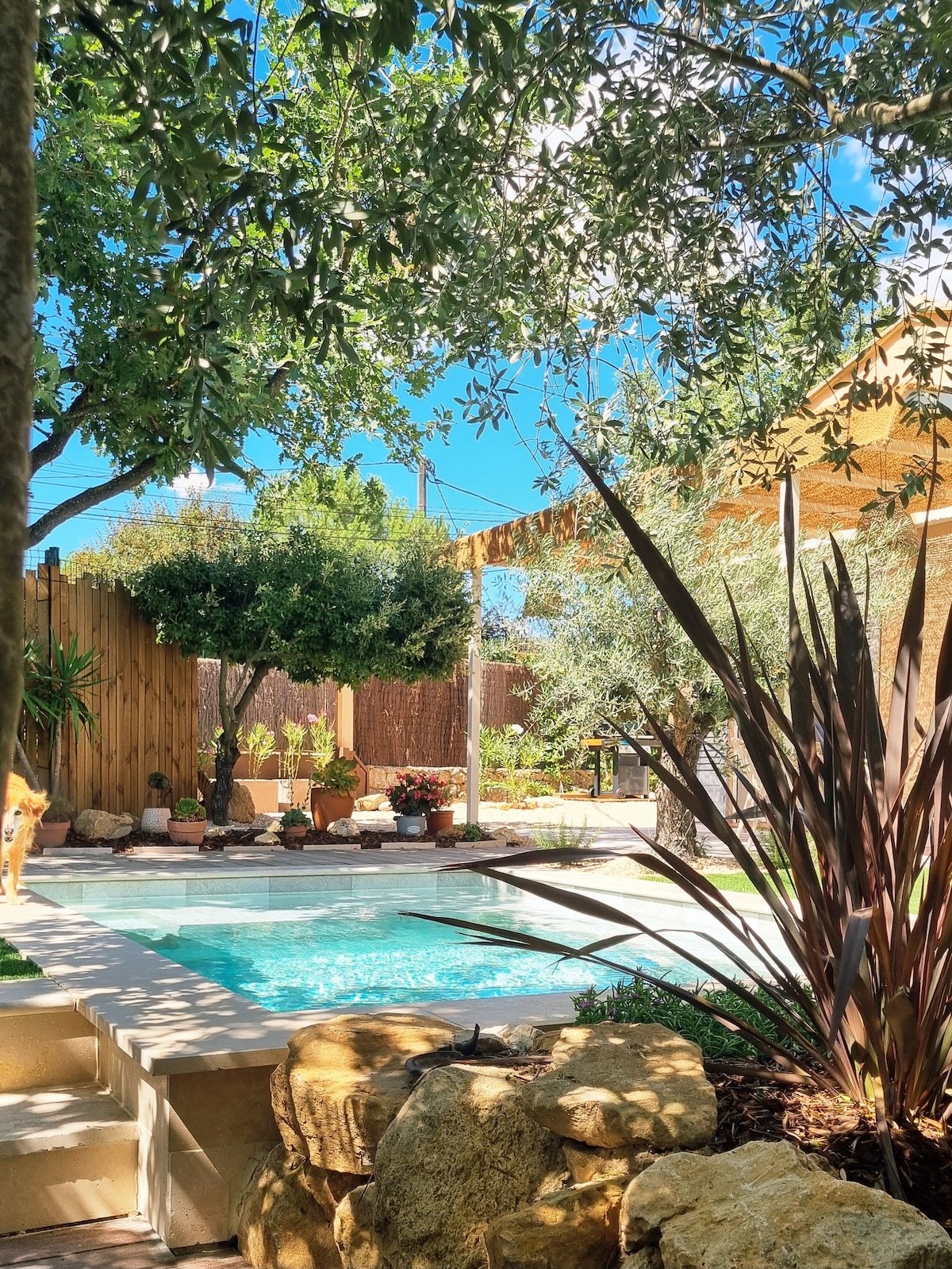 The private pool is framed by lush greenery and an assortment of plants. Sunlight filters through the leaves, creating dappled shadows. A shaded area with a canopy offers a relaxing space, while natural stone borders the pool, complementing the tranquil garden setting.