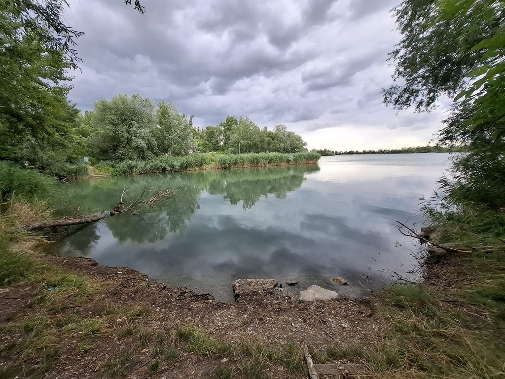 A calm lake scene is presented, with still waters reflecting the overcast sky and surrounding greenery. Reeds line the shore, and small rocks are visible at the water's edge, creating a natural transition from land to water.