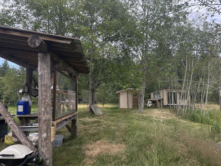 Pond Cabin - Foot Forward Farm -