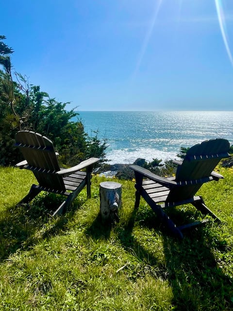 Pelican Point - Oceanfront, Hot Tub, Dog Friendly!
