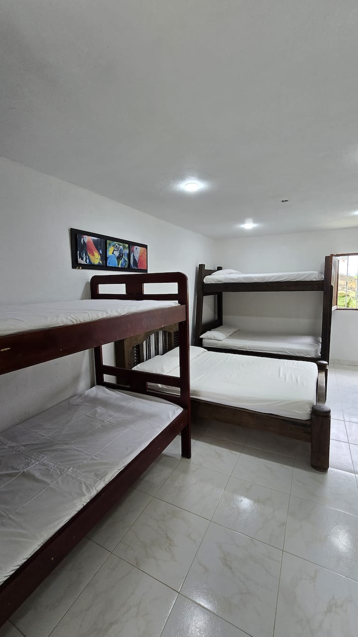 Habitación 7