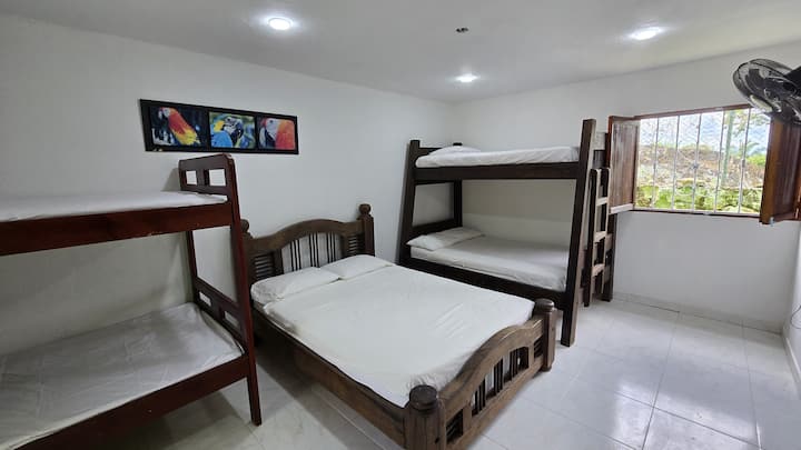 Habitación 3