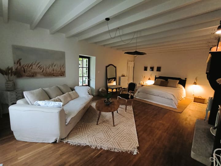 חדר נעים בגודל 35 מ"ר עם גישה למרפסת מוצלת קטנה 