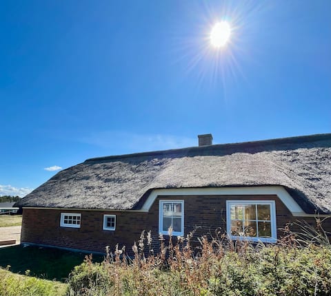 Spa and sauna, 300m from the sea, Vejlby Klit