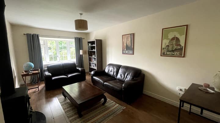 Bright 4 Guest Home W/ Garden & Free Parking - Galway