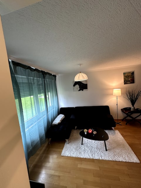 Furnished Apartment in Baden