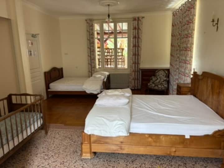 Domaine Avec Manoir Et Piscine - Onzain