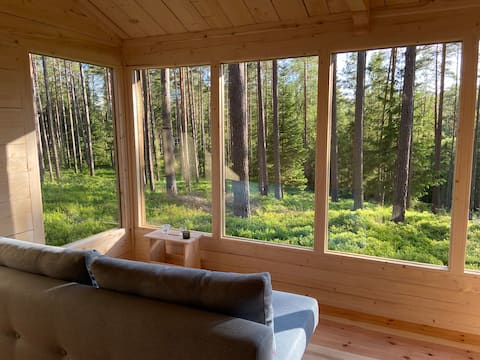 Top Airbnb: Forest house among blueberries and pine trees in Värnamo