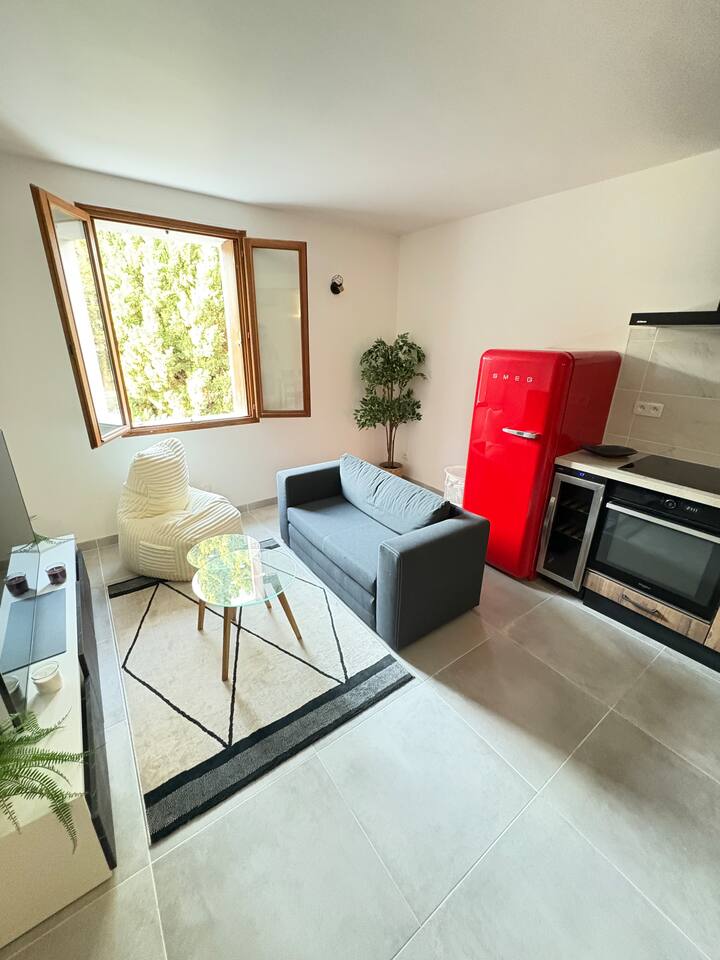 Logement Avec Vue Des Fouilles Romaine - Vaison-la-Romaine