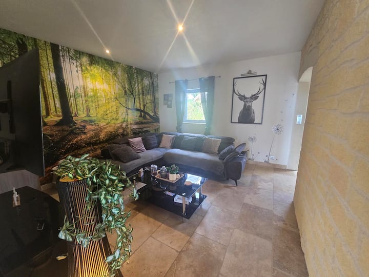 Villa Avec Piscine & Jacuzzi à Saint-hippolyte - Gard