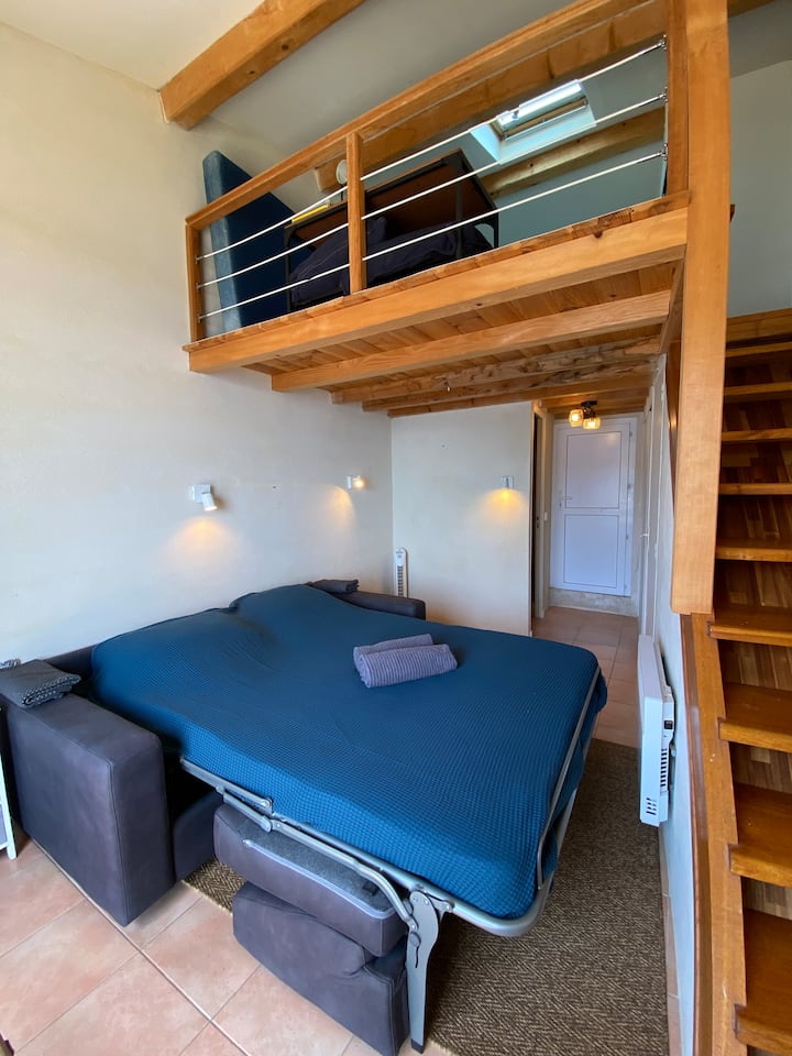 Habitación 1