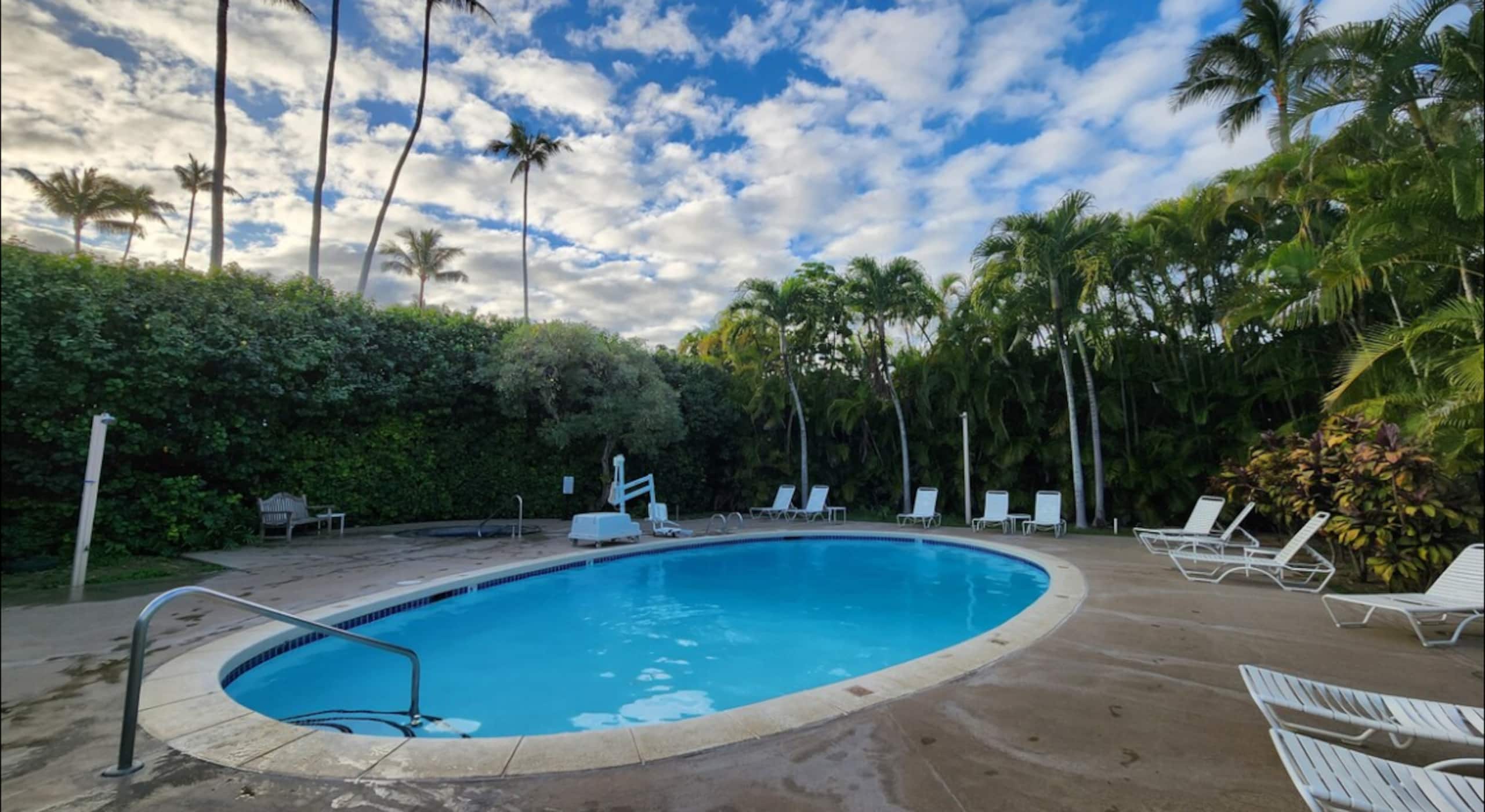 Ocean view A/C, pool/hot tub coconut marketplace - Photo 6