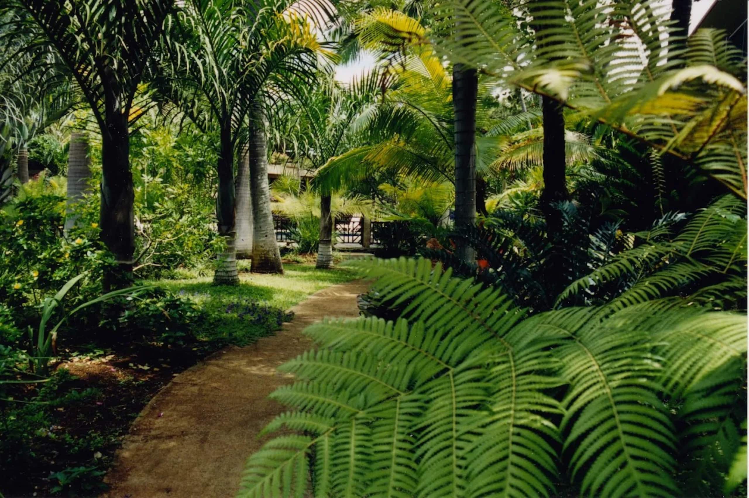 Condo in Koloa · ★4.84 · Studio · 2 beds · 1 bath - Photo 16