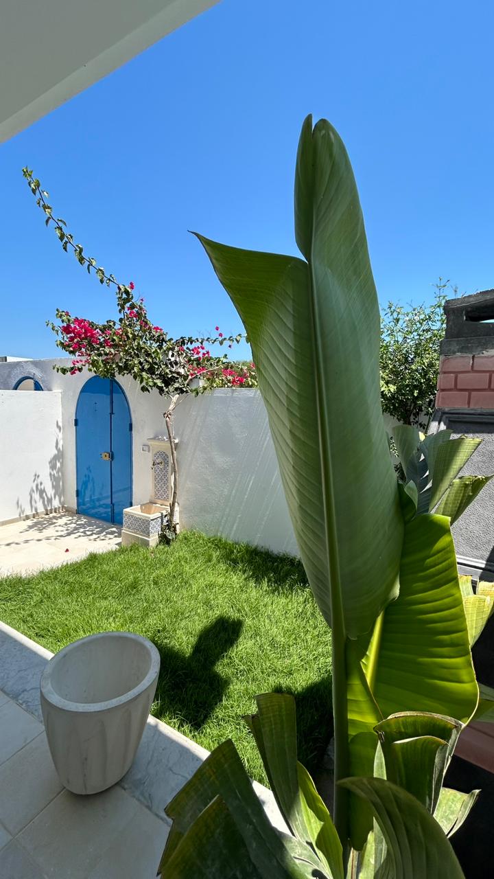 A lush green garden is depicted, featuring tall leafy plants and blooming flowers. A traditional blue door is visible in the background, framed by vibrant vegetation. Sunlight illuminates the area, creating a bright and inviting outdoor space.