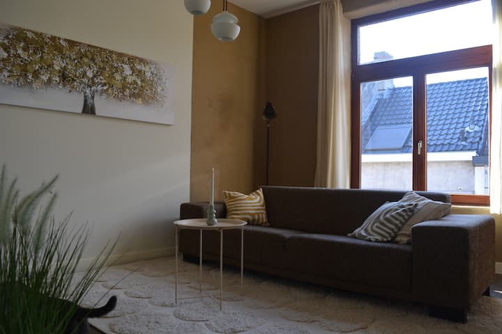 Appartement Calme Et éLégant Au Gand - Gent