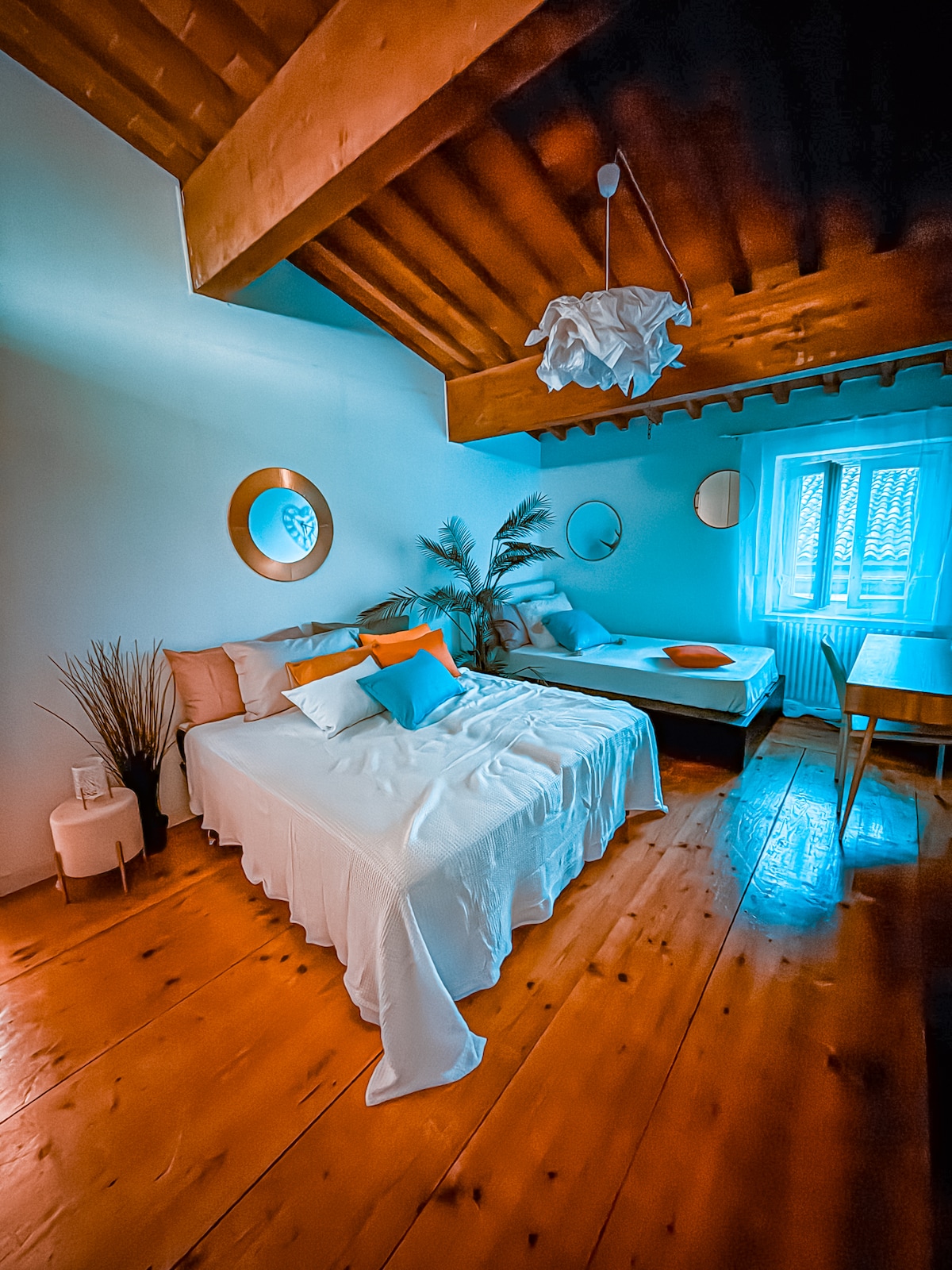 Image showcasing Luxurious oversized penthouse studio apt, laundry, parking, cat ok ...