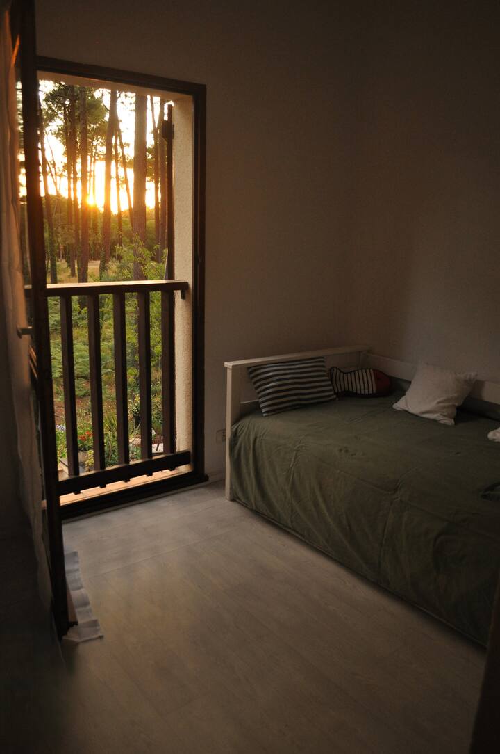 一天结束时，美丽的灯光会让您做美梦